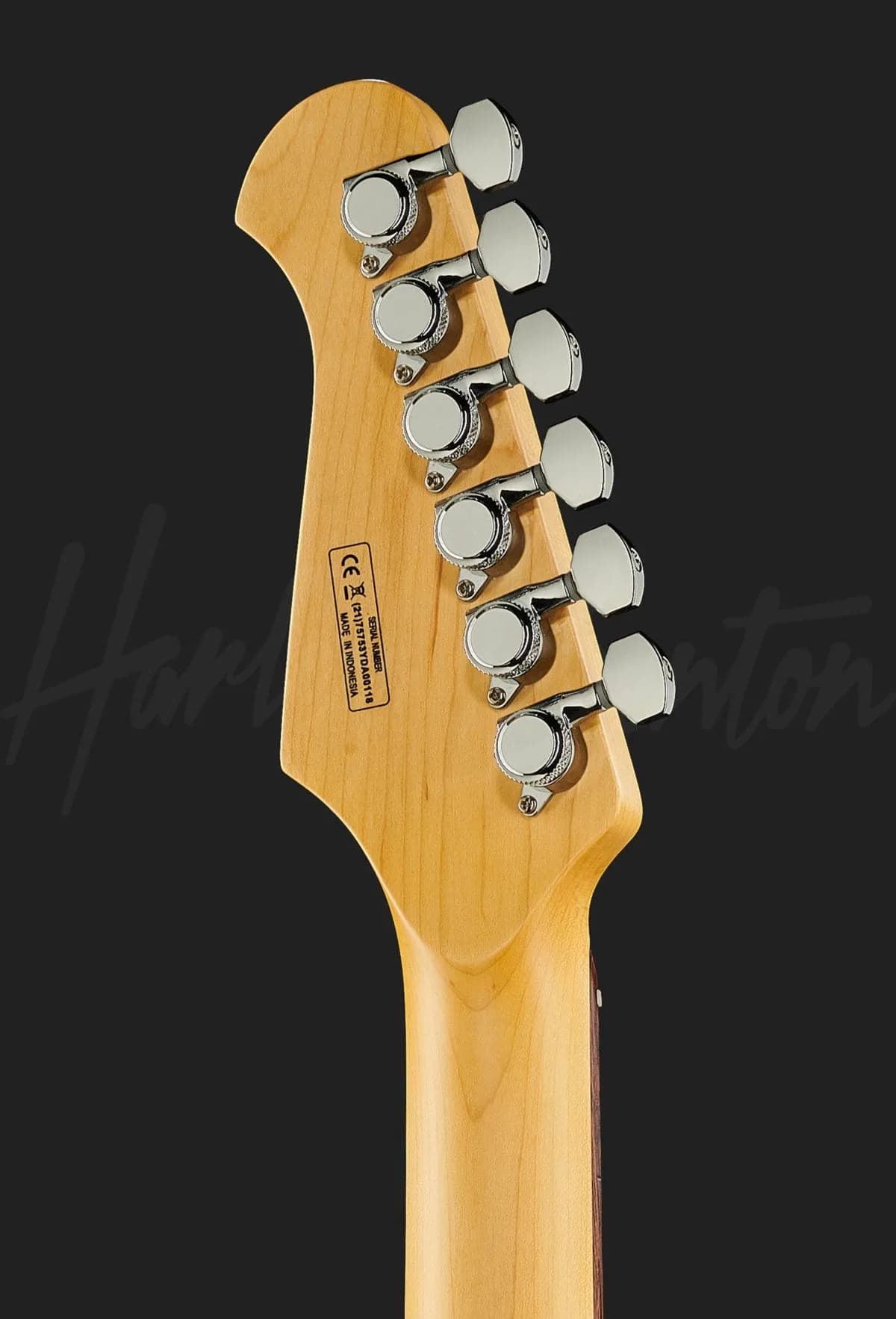 Harley Benton Fusion-III HH EB OCT — photo 7