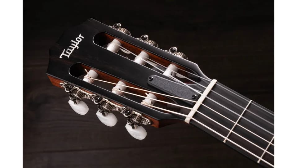 Taylor 312ce-N — photo 8