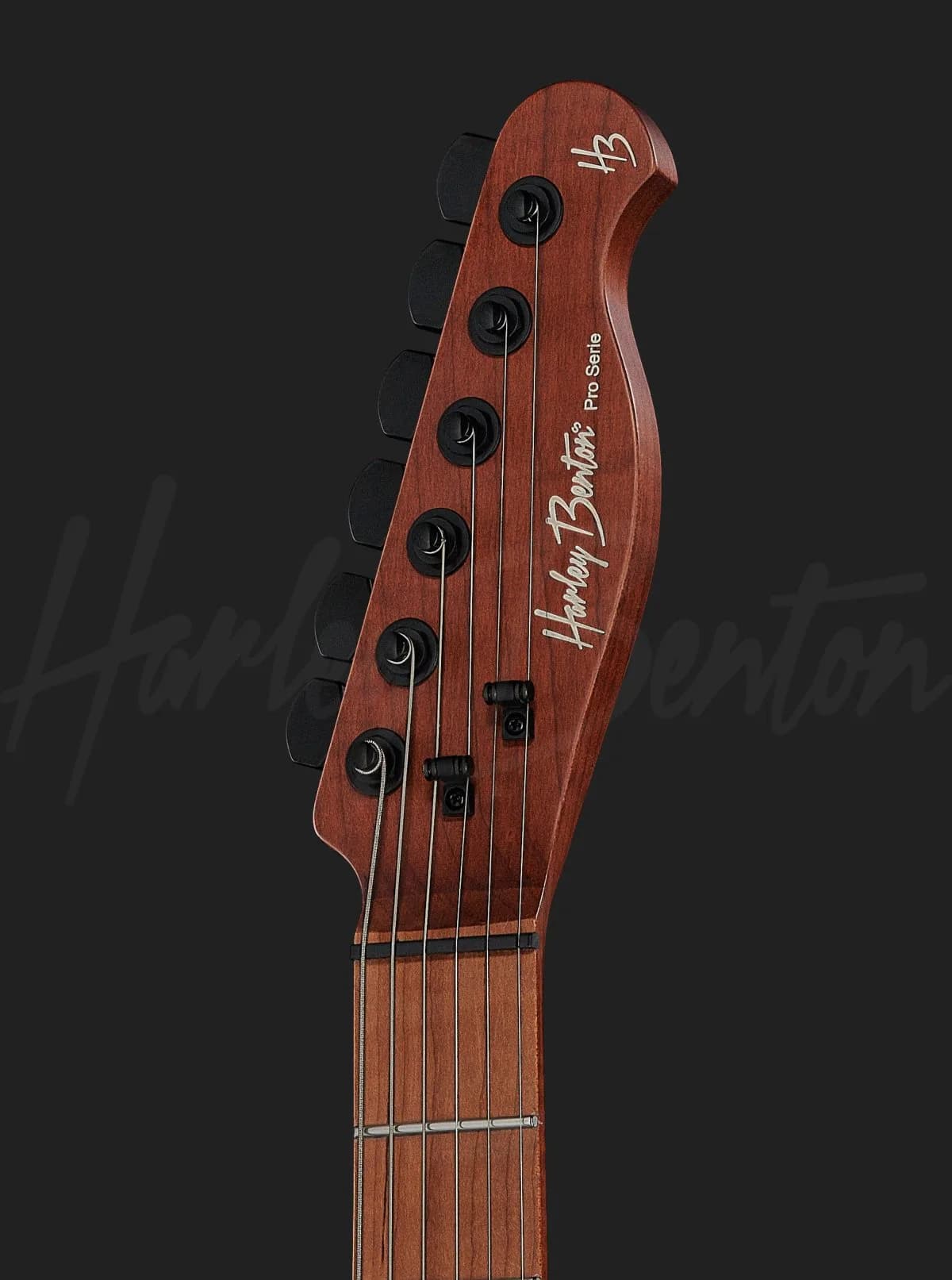 Harley Benton Fusion-T HH Roasted WM — photo 6