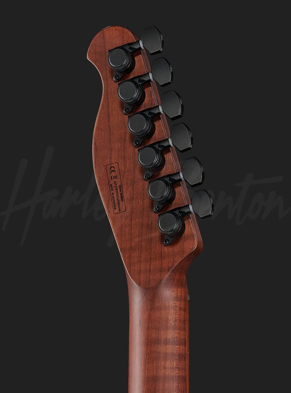 Harley Benton Fusion-T HH Roasted WM — photo 7