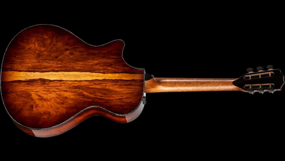 Taylor PS12ce 12-Fret Honduran Rosewood — photo 2