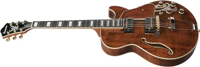 Ibanez AG95MG — photo 4