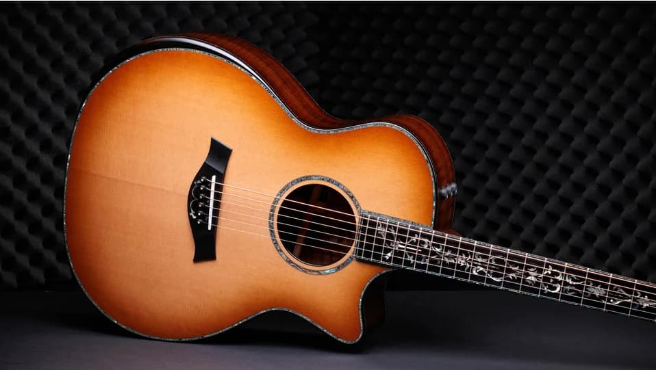 Taylor 50th Anniversary PS14ce LTD &amp; Circa 74 Amp — photo 5