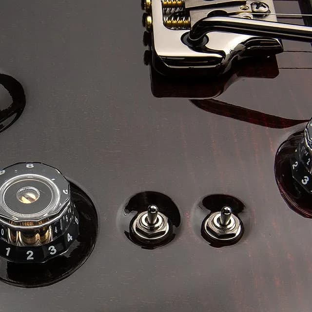 PRS Custom 24-08 Mango Top Limited Edition — photo 5