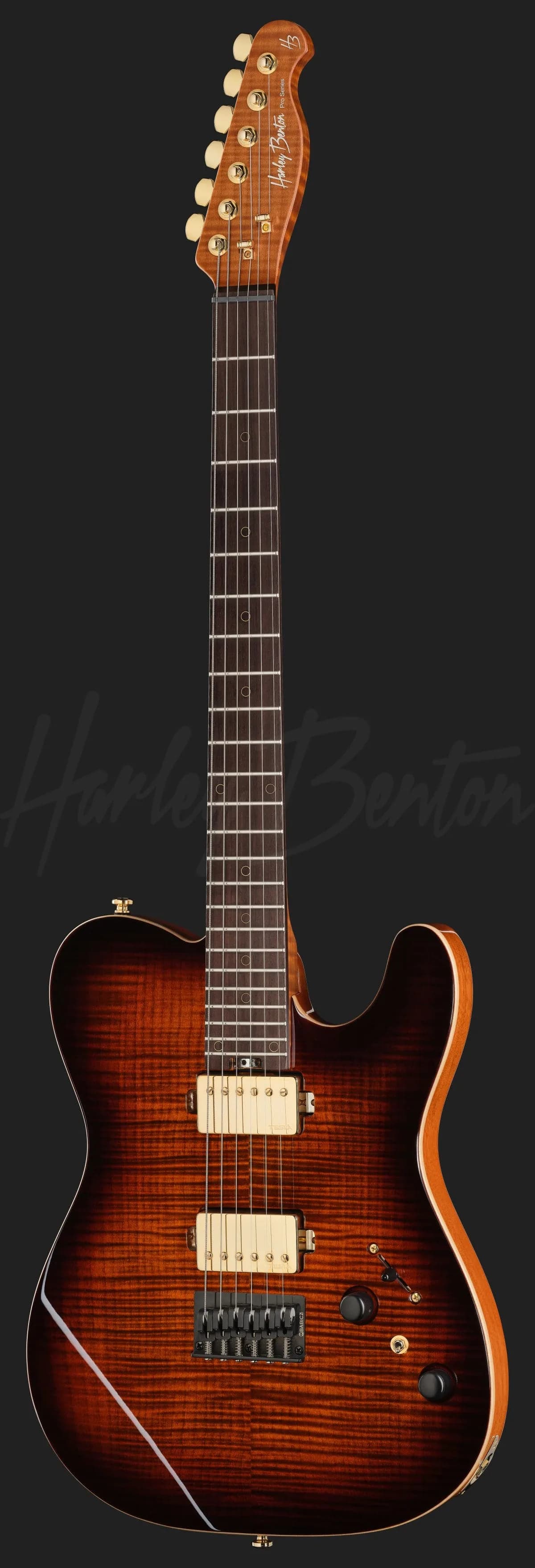 Harley Benton Fusion-T II HH RW HT FBB — photo 2