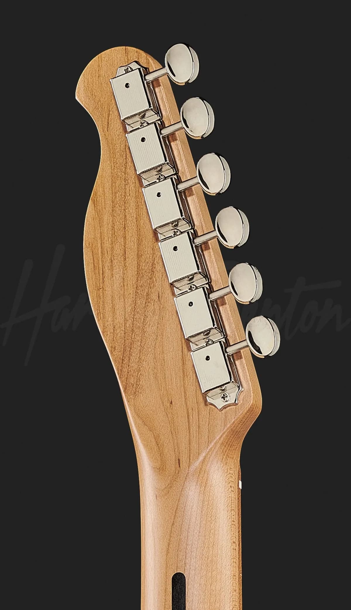 Harley Benton TE-53KR BL — photo 7