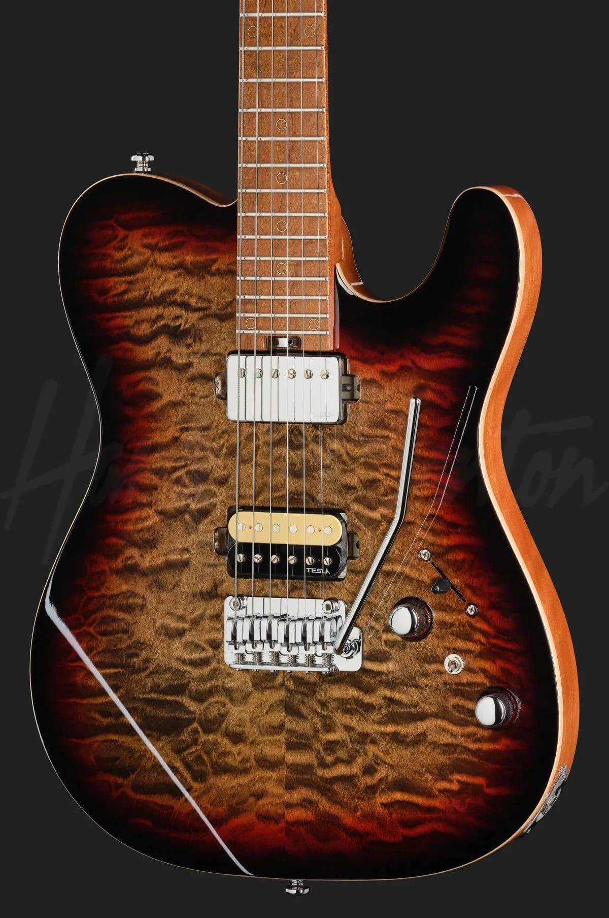 Harley Benton Fusion-T II HH MN QDG — photo 4