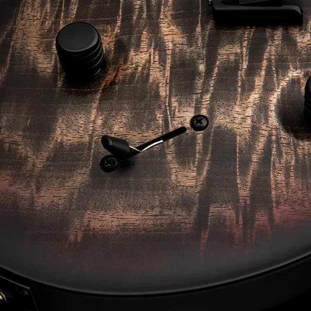 PRS Mark Holcomb — photo 6
