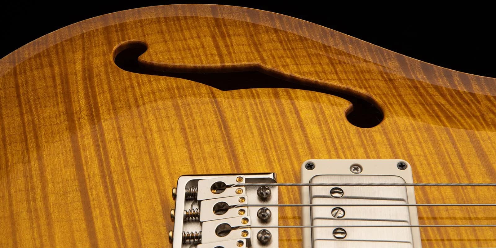 PRS DGT Semi-Hollow Limited Edition — photo 8