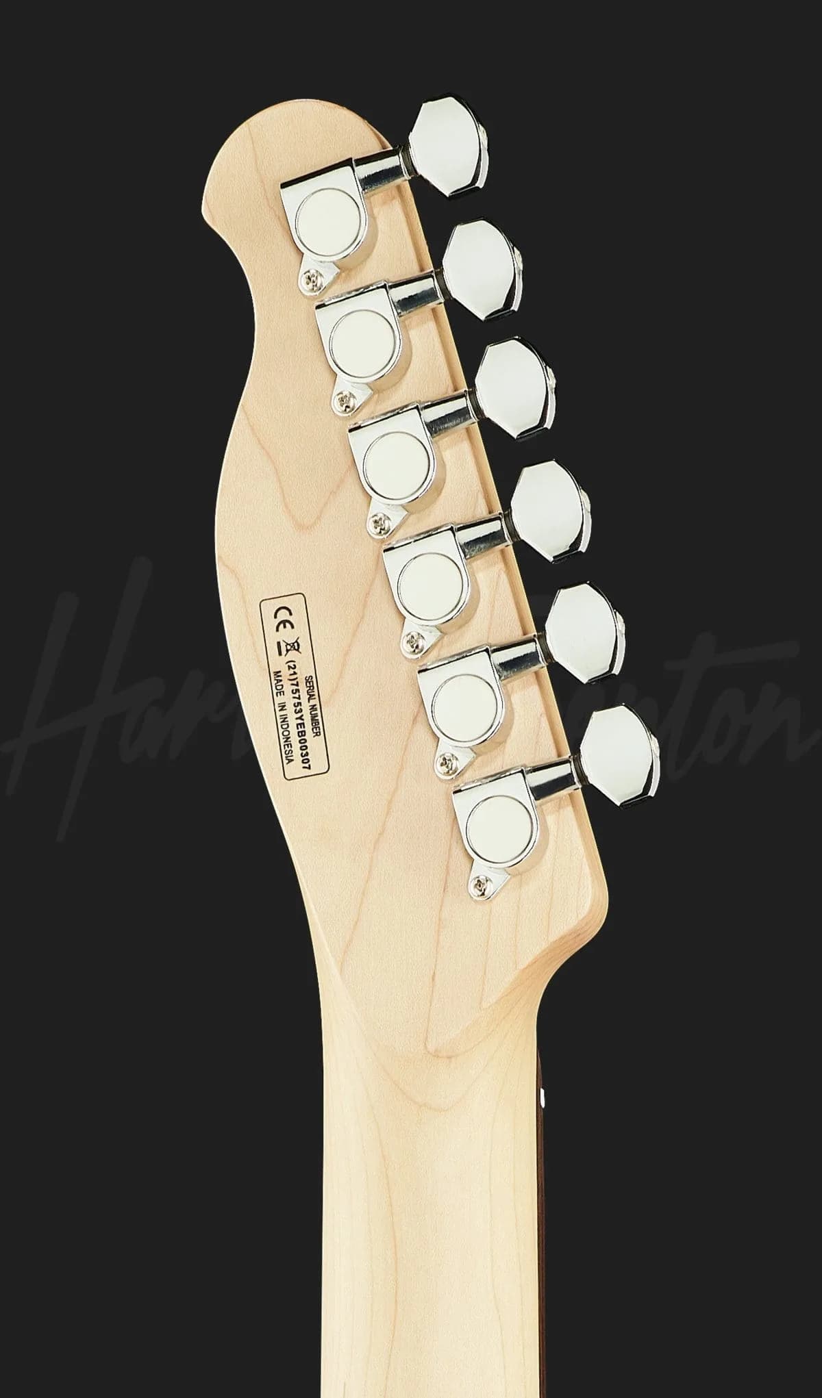 Harley Benton TE-90QM Trans Blue — photo 7