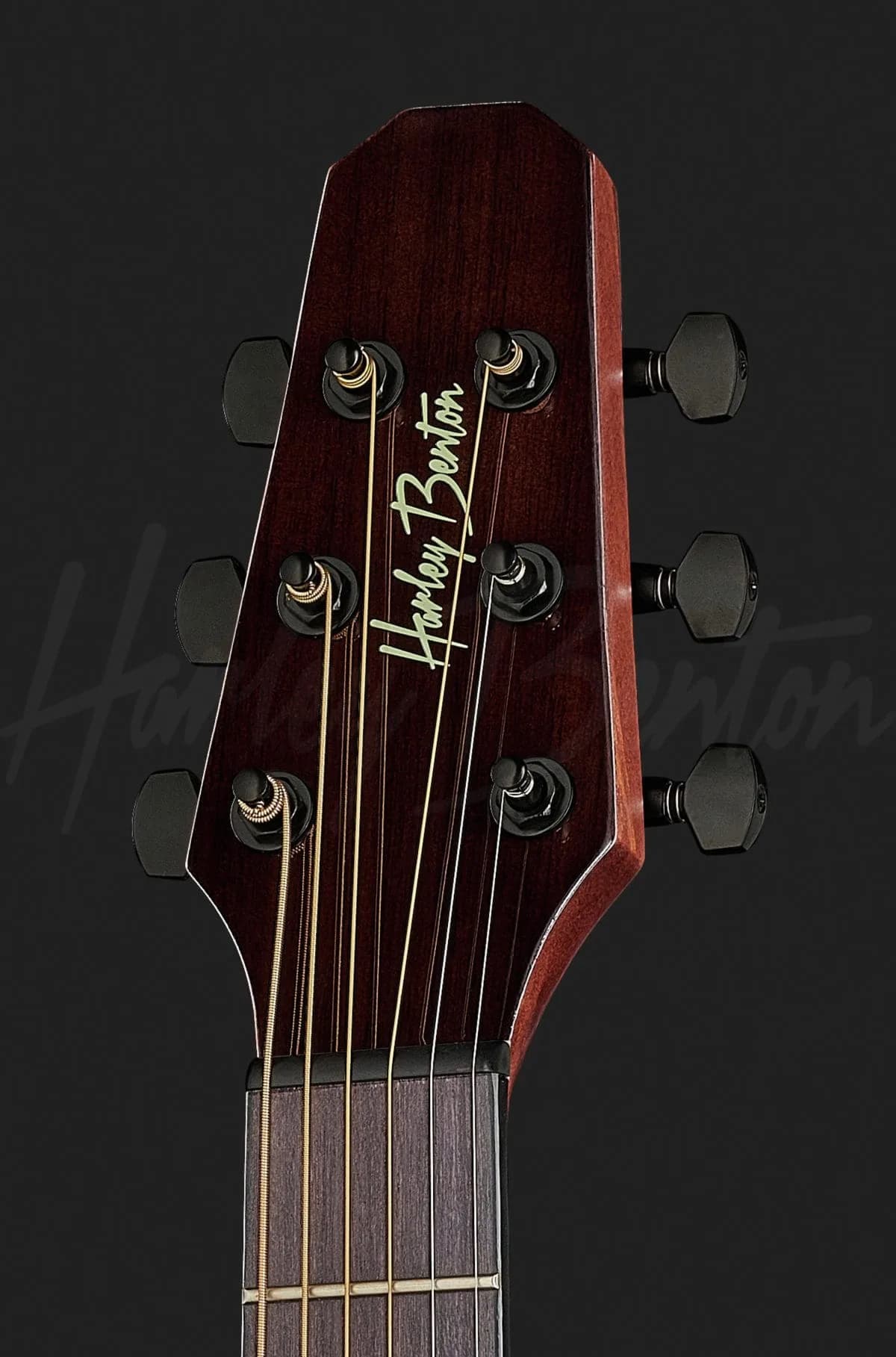 Harley Benton GS-Travel-E Spruce — photo 6