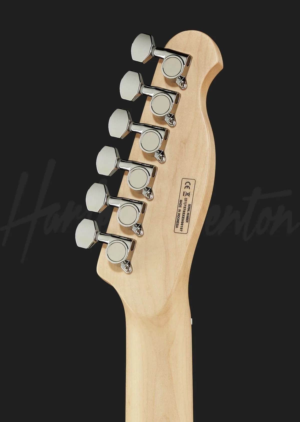 Harley Benton TE-90FLT WH — photo 7