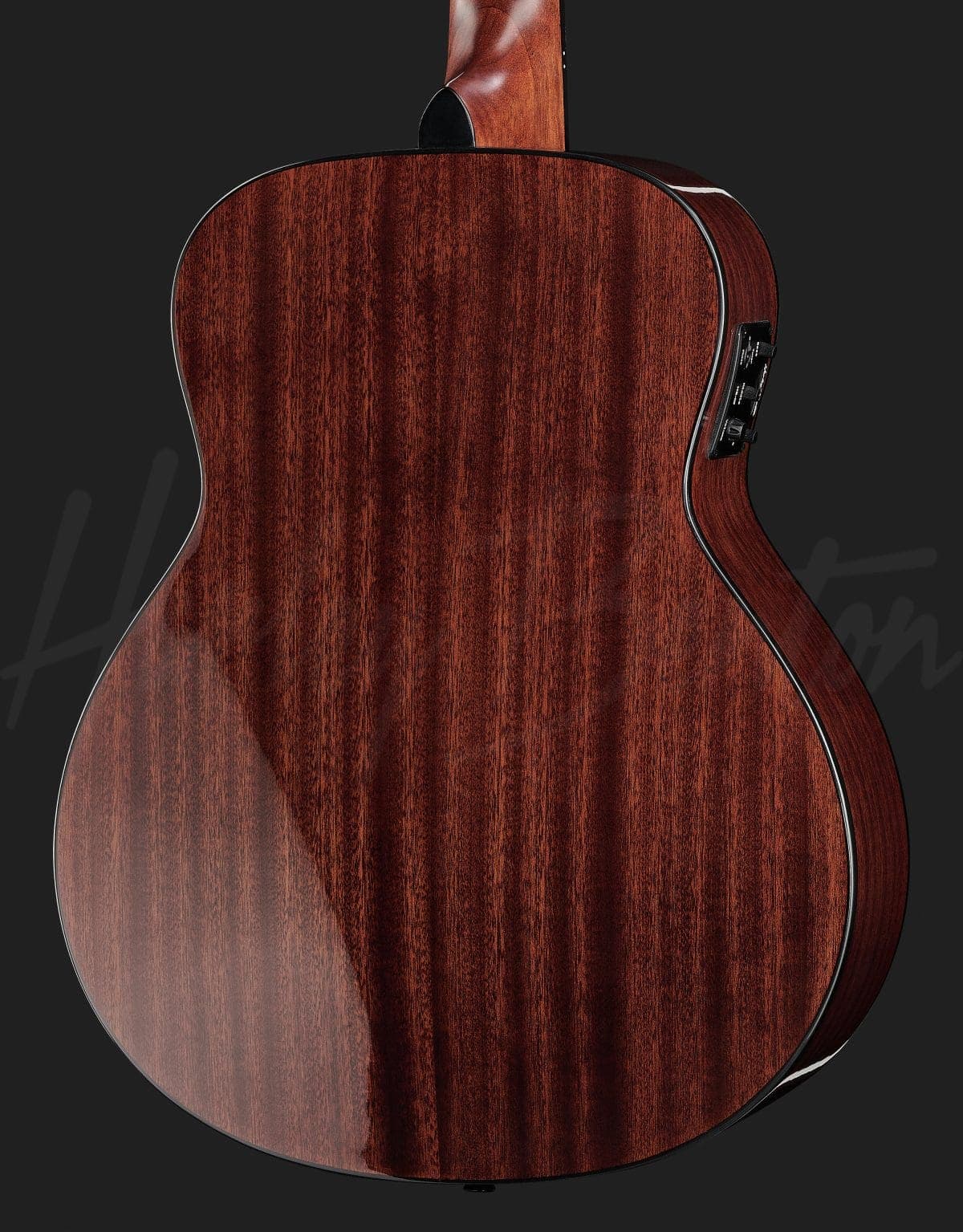 Harley Benton GS-Travel-E Spruce — photo 5