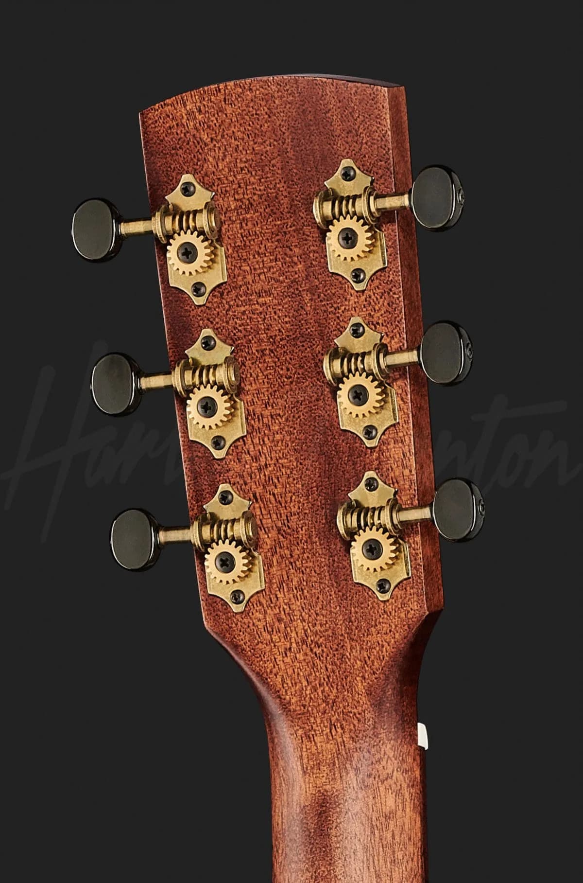 Harley Benton CLD-15MCE Solid Wood — photo 7