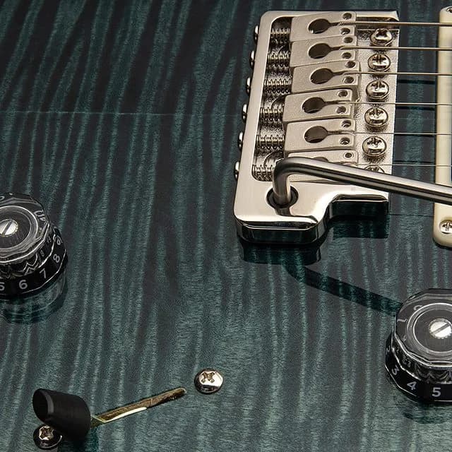 PRS SE Custom 24 — photo 4
