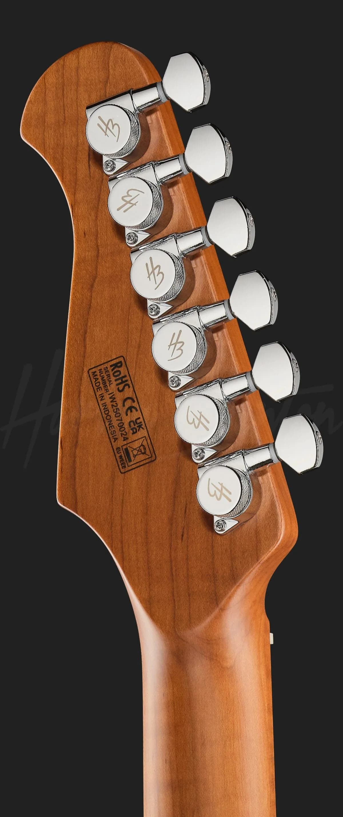Harley Benton Fusion-IV HH MN QDG — photo 7