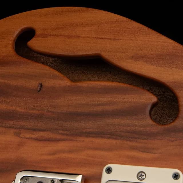 PRS S2 Special Semi-Hollow Reclaimed Limited Edition — photo 6