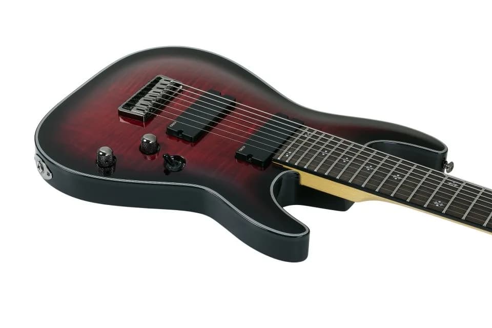 Schecter Damien Elite-8 LH — photo 5