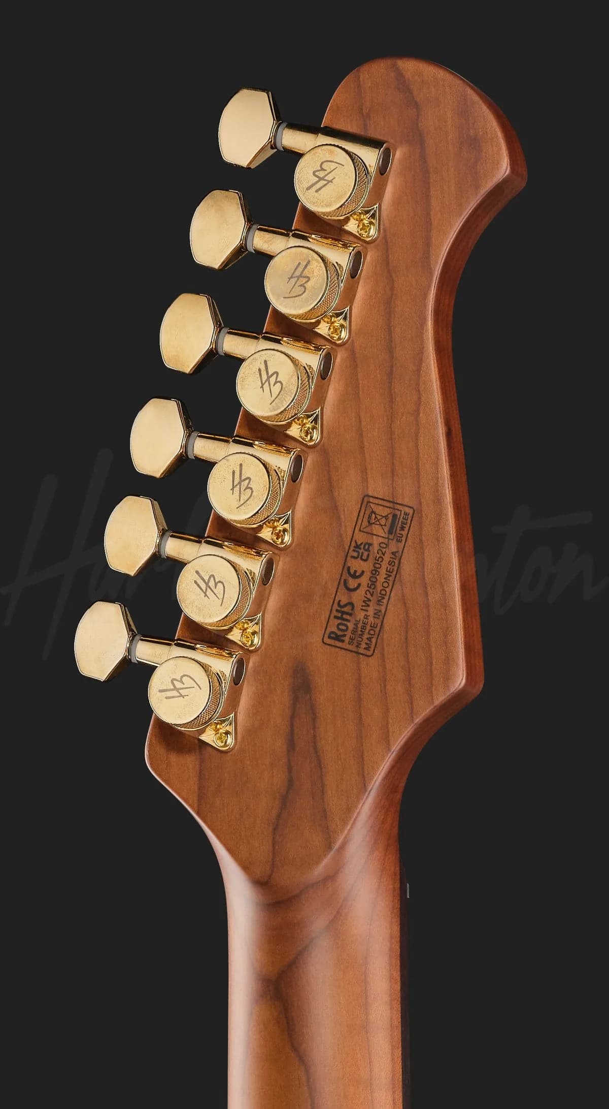 Harley Benton Fusion-IV HSS LH RW PM — photo 7