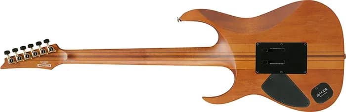 Ibanez RGT1220PB — photo 5