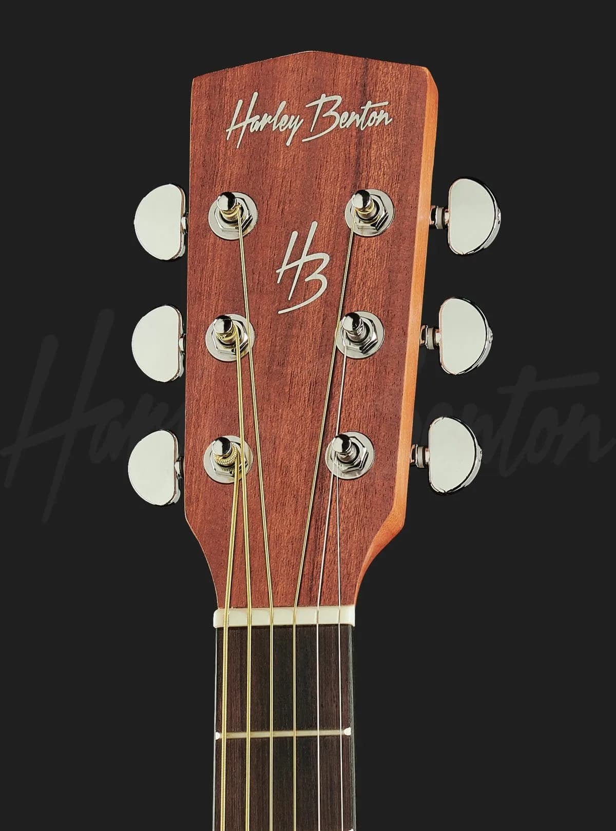 Harley Benton DS-10 Mini — photo 6