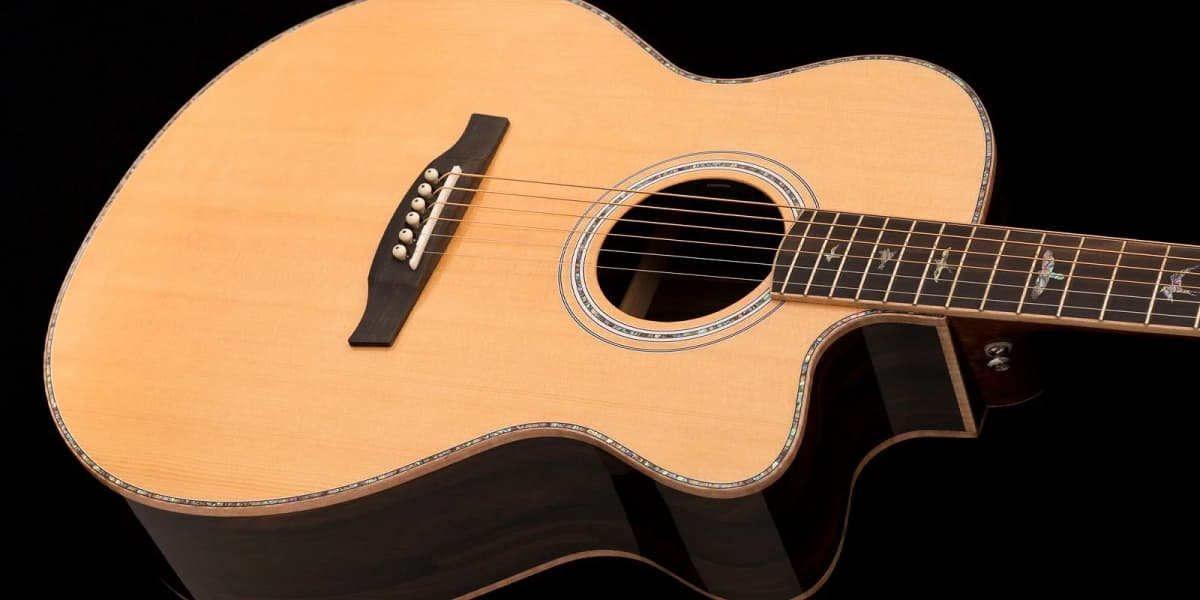 PRS SE A60E
