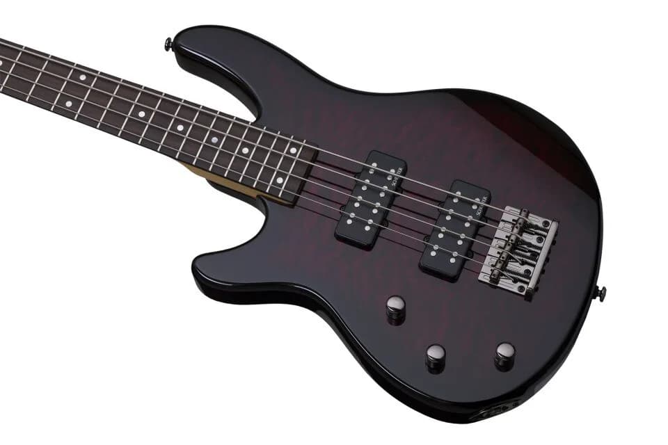 Schecter Raiden Special-4 LH — photo 2