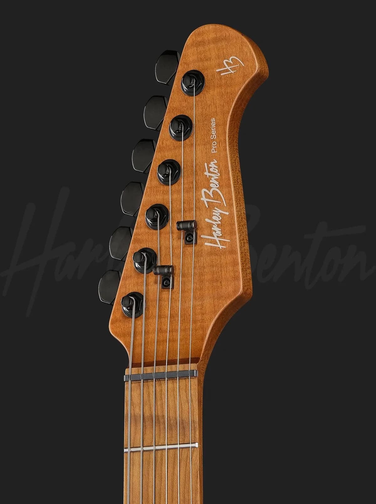 Harley Benton Fusion-IV HSS MN BM — photo 6