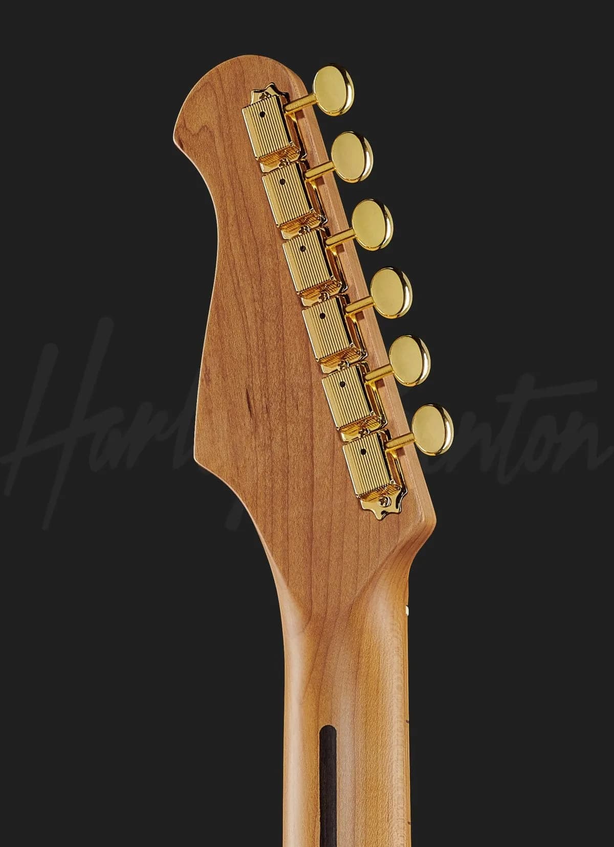Harley Benton ST-62DLX VW — photo 7