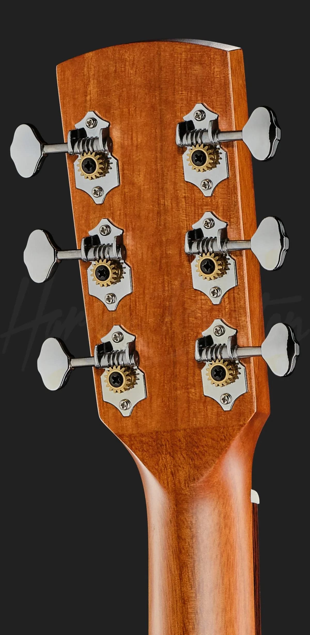 Harley Benton CLO-65ME NT — photo 7