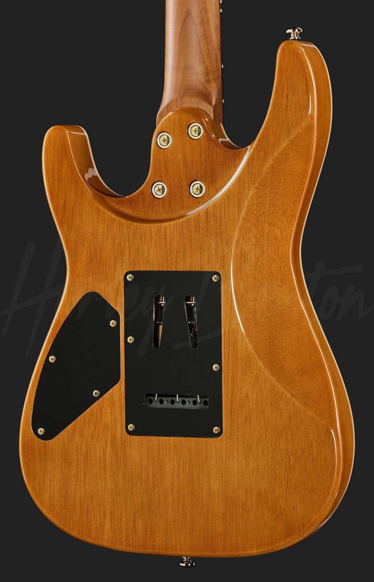 Harley Benton Fusion-IV HH RW PM — photo 5
