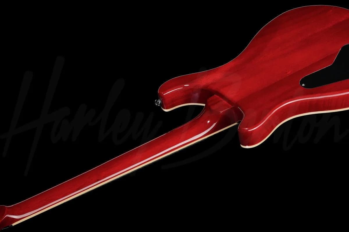 Harley Benton CST-24 Paradise Flame — photo 8