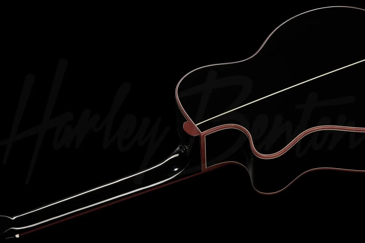Harley Benton EAX-500TL Black — photo 8
