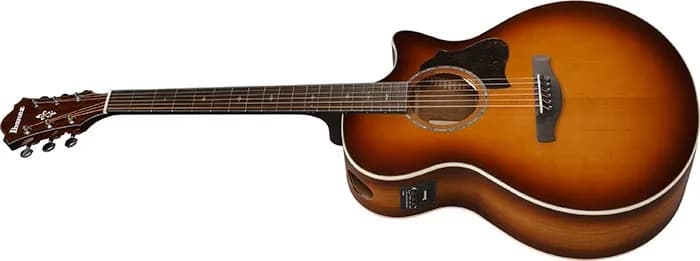 Ibanez AE160 — photo 4