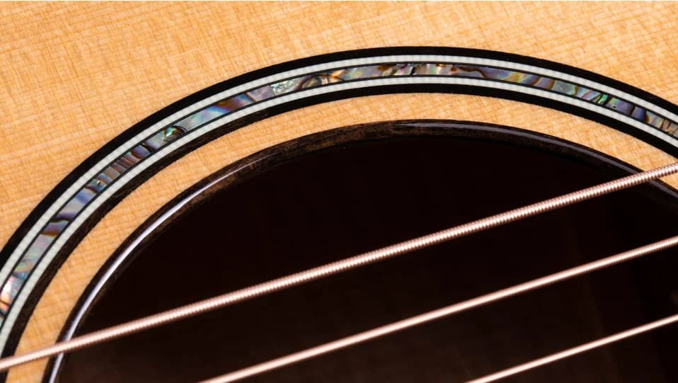 Taylor 612ce — photo 6