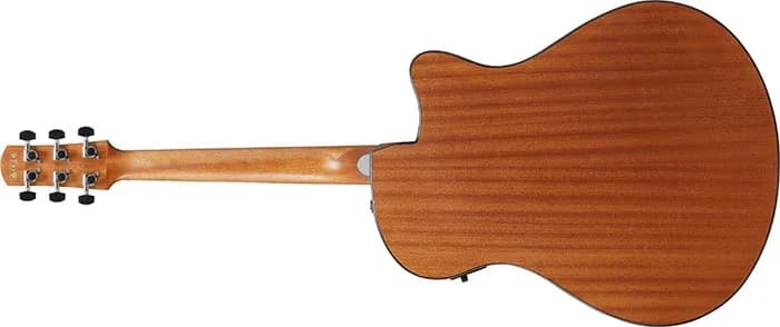 Ibanez AAM50LCE — photo 5