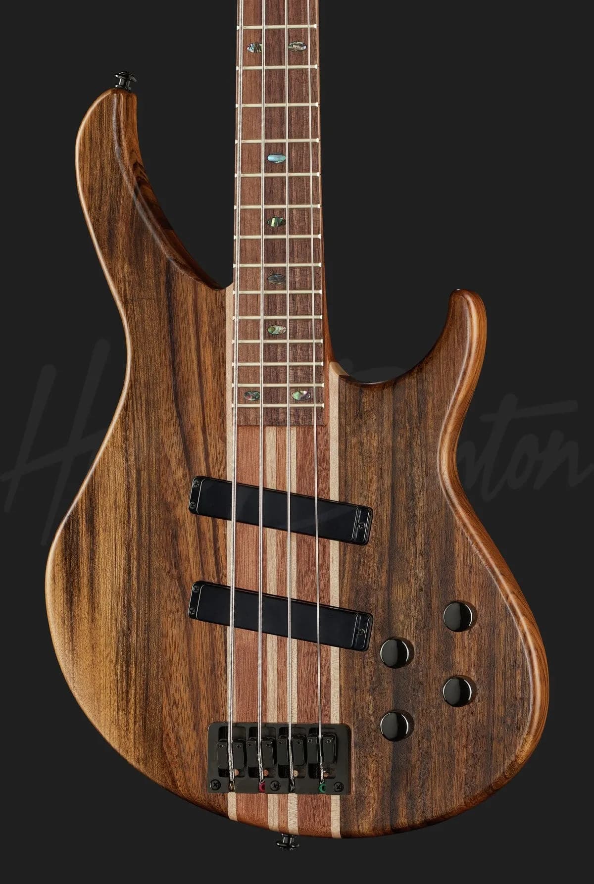 Harley Benton HBZ-2004 — photo 4