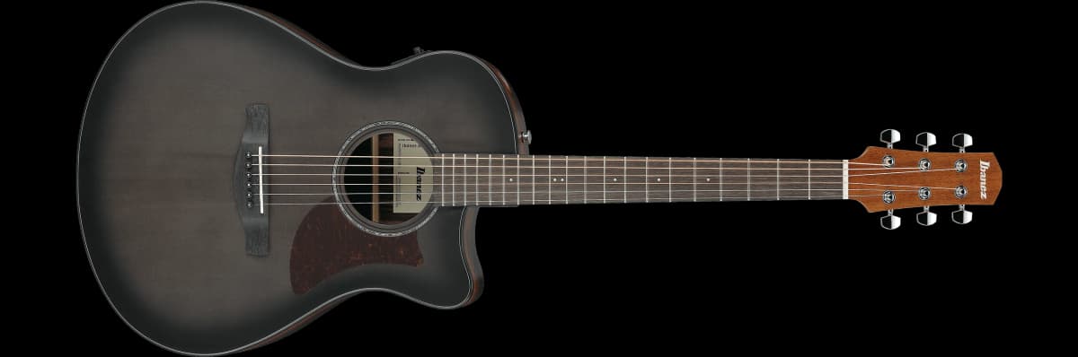 Ibanez AAM70CE