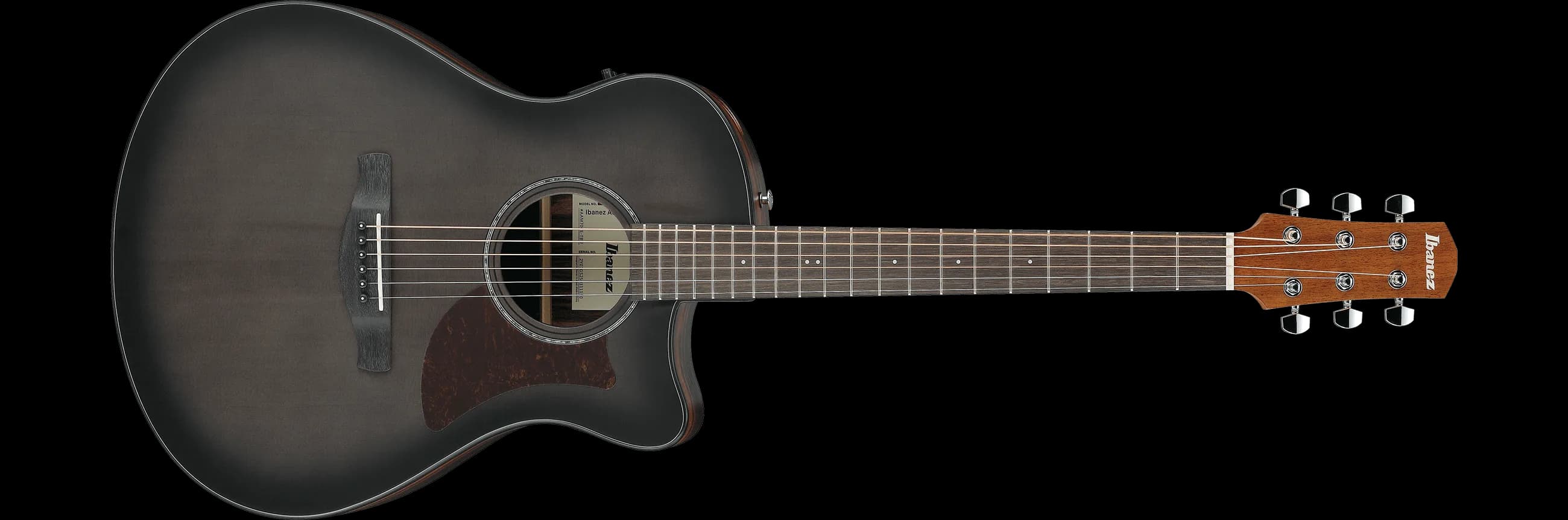 Ibanez AAM70CE