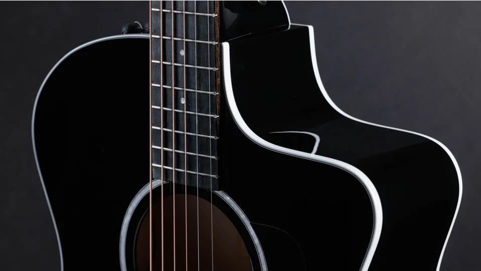 Taylor 214ce-BLK Plus — photo 5