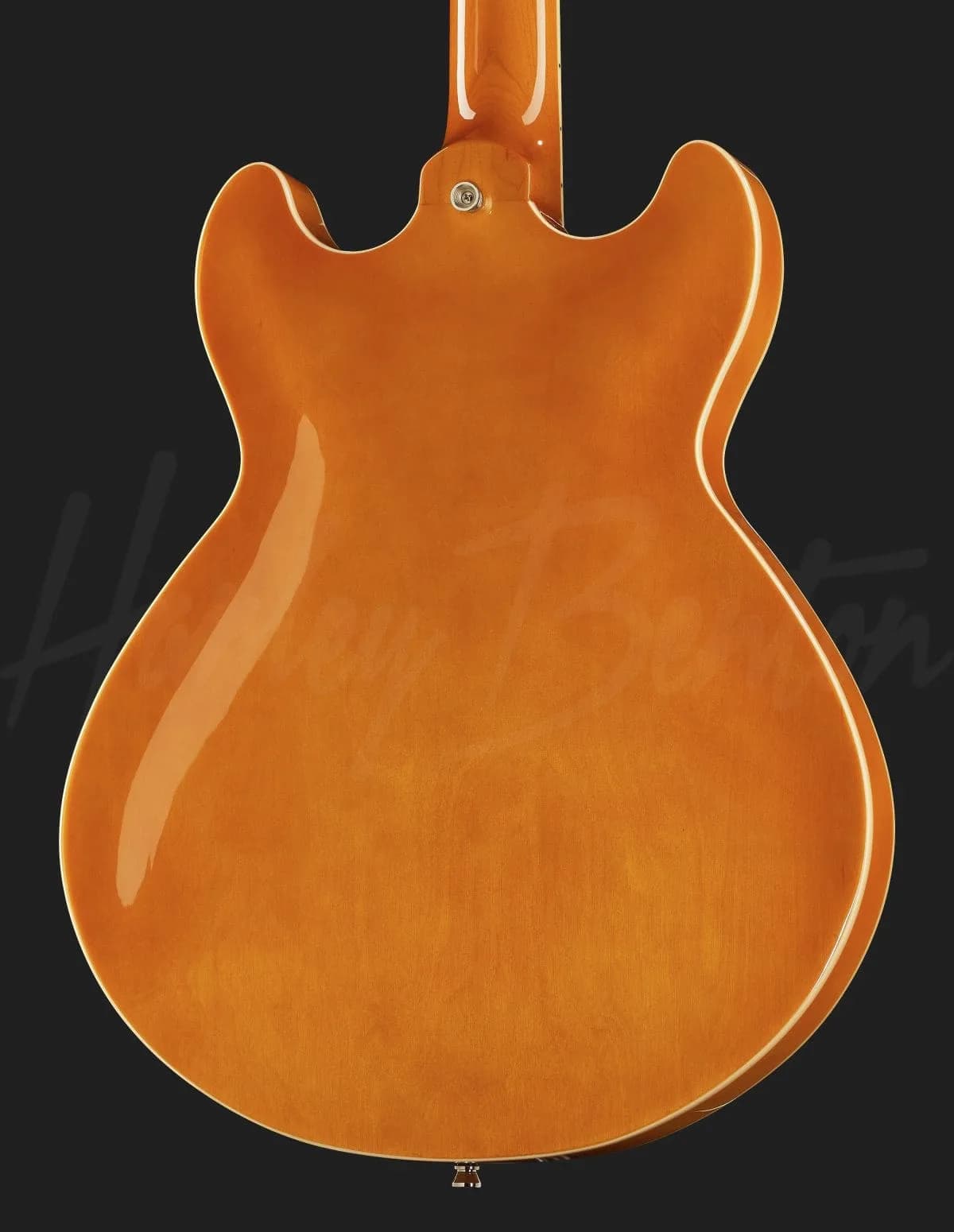 Harley Benton HB-35Plus LD — photo 5