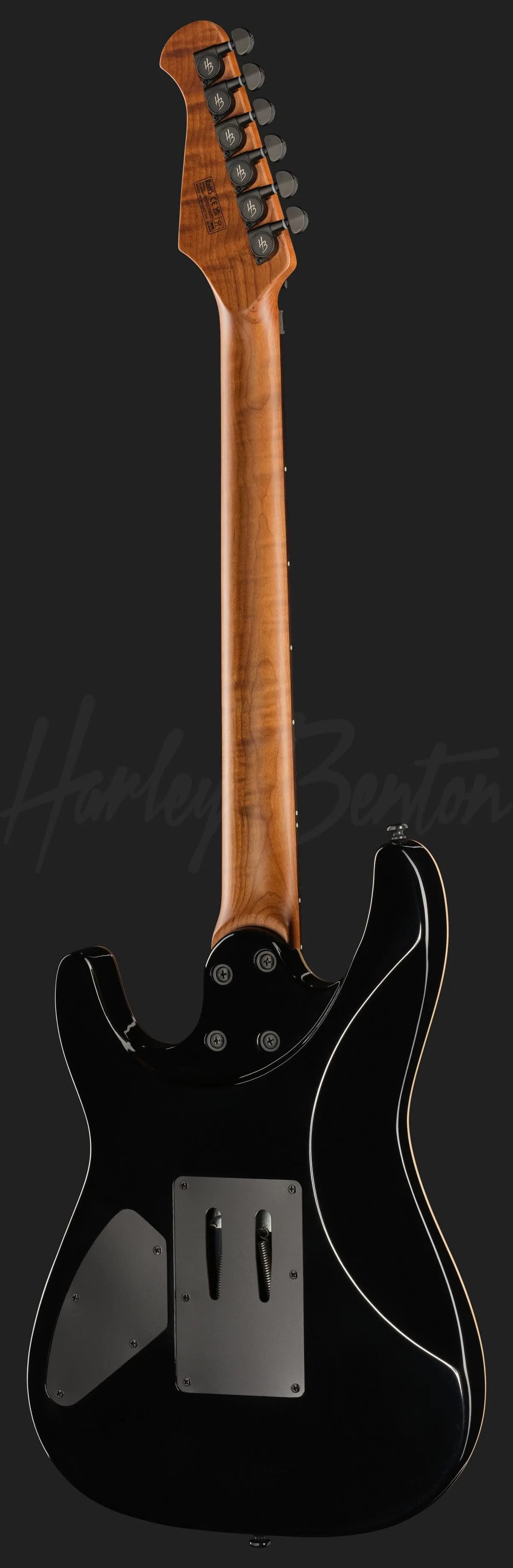 Harley Benton Fusion-IV HH RW FR BM — photo 3