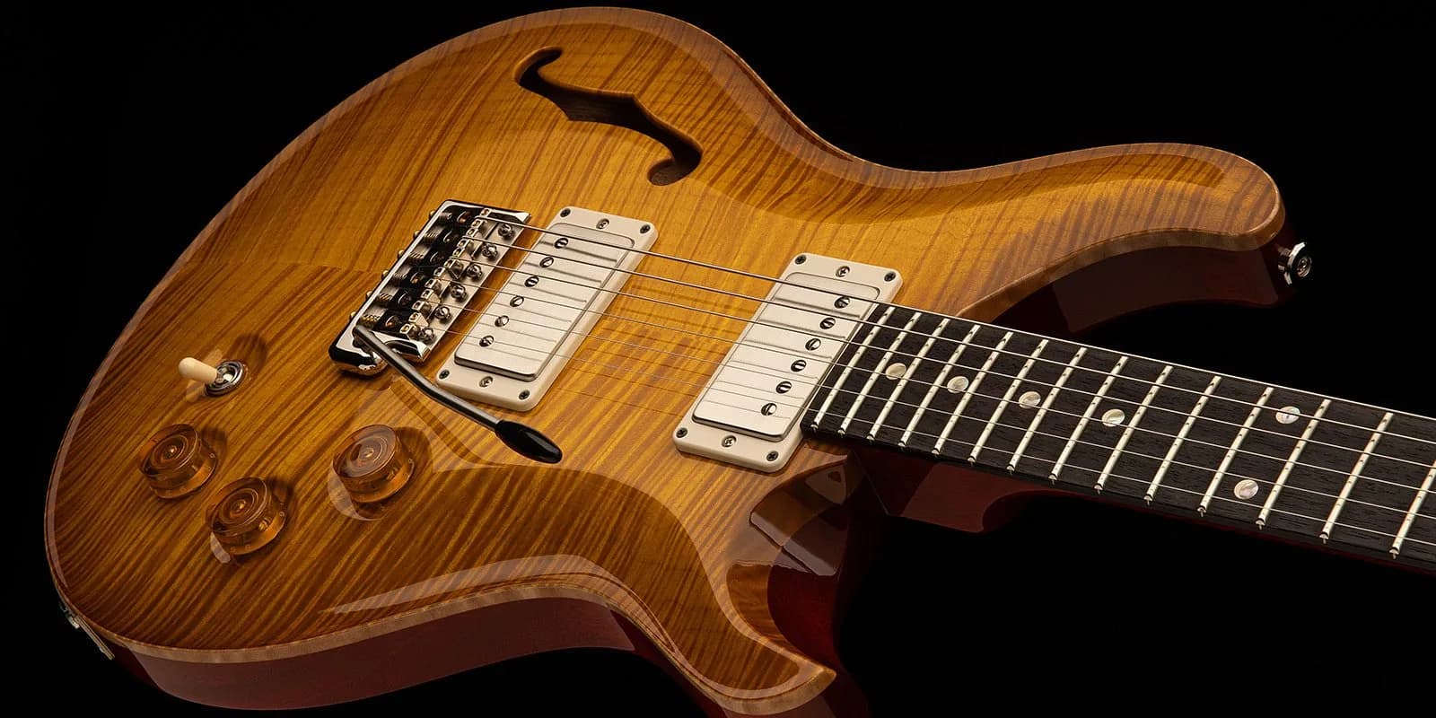 PRS DGT Semi-Hollow Limited Edition — photo 2