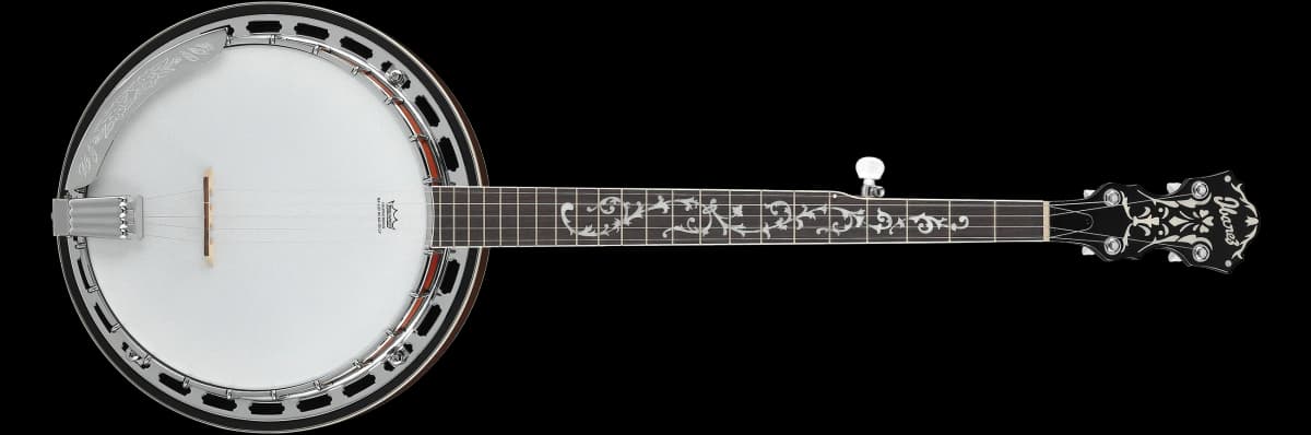 Ibanez B200