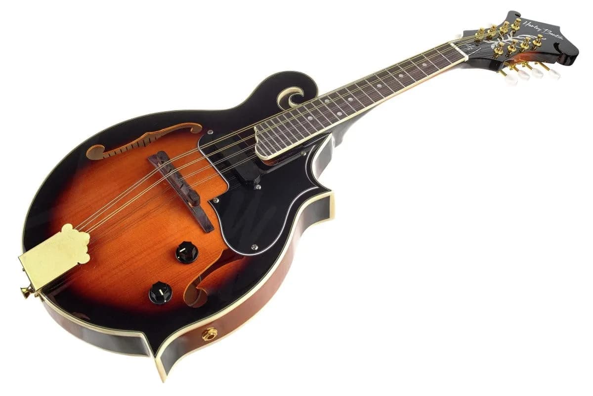 Harley Benton MA-100E VS — photo 4