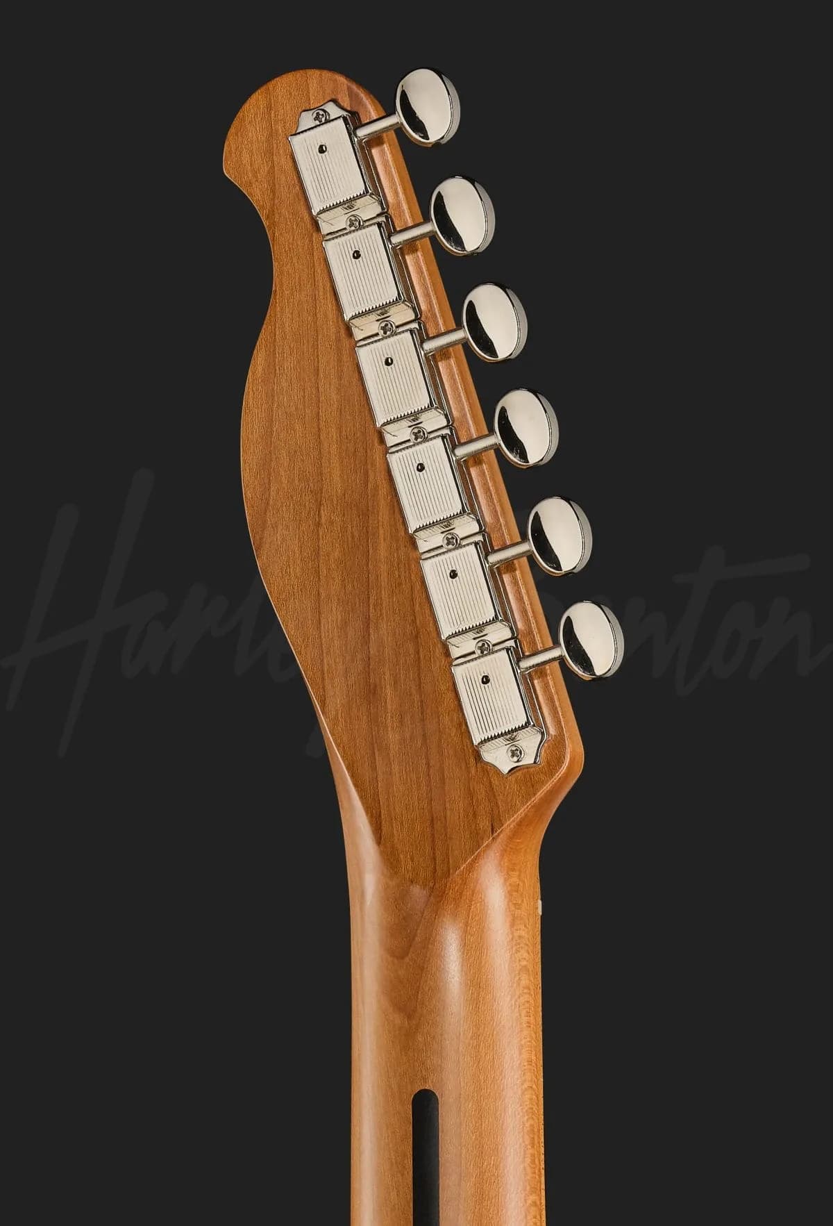 Harley Benton TE-62CC IS — photo 7
