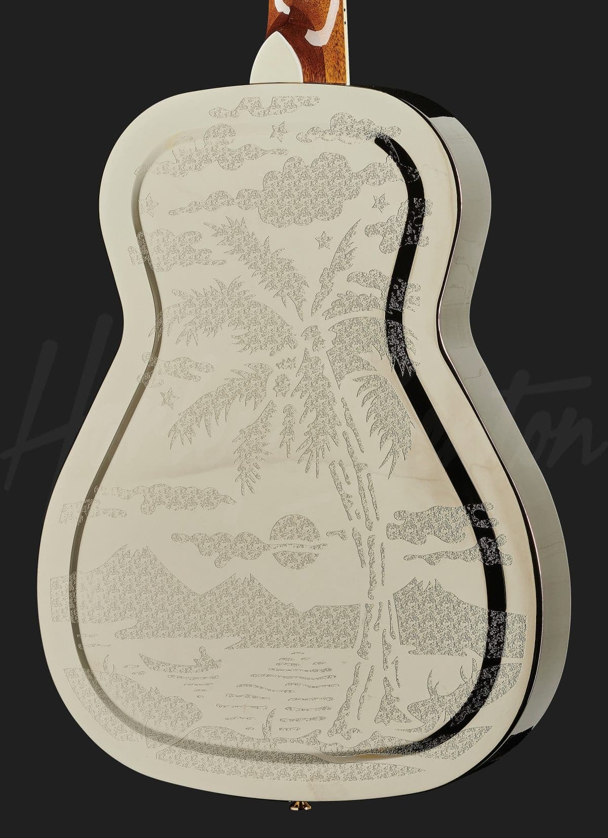 Harley Benton CLR-ResoElectric — photo 5