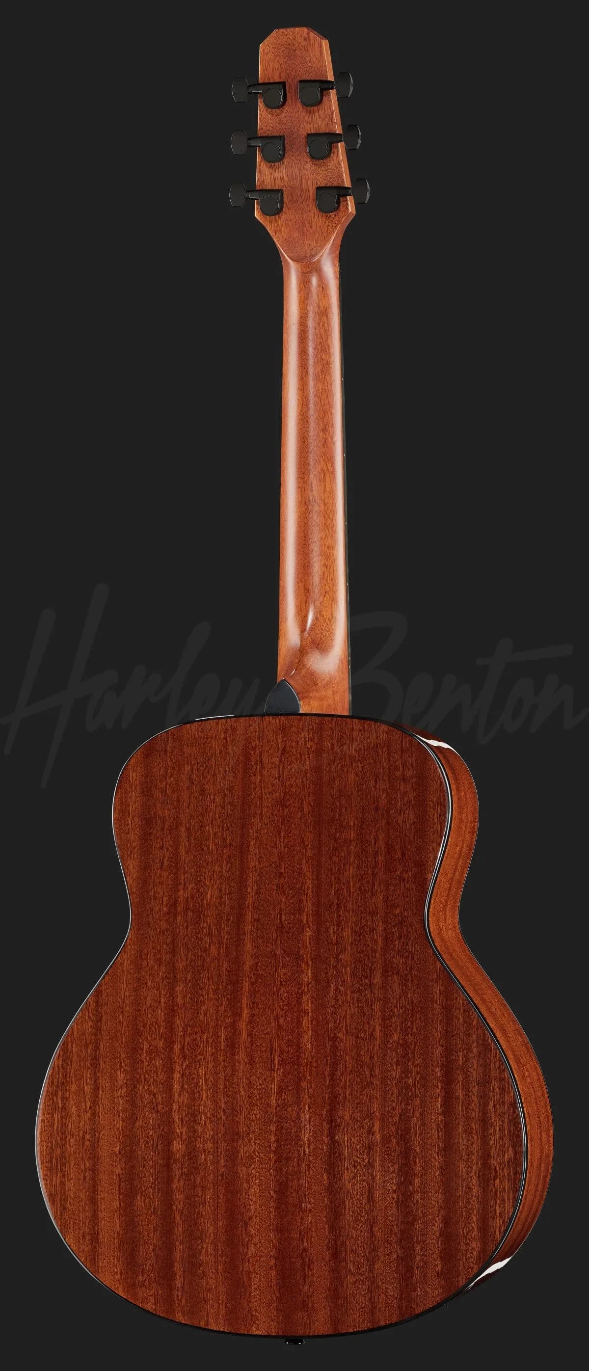 Harley Benton GS-Travel Spruce — photo 3