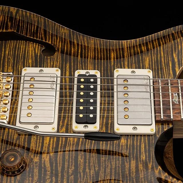 PRS 40th Anniversary Special Semi-Hollow Limited Edition — photo 4