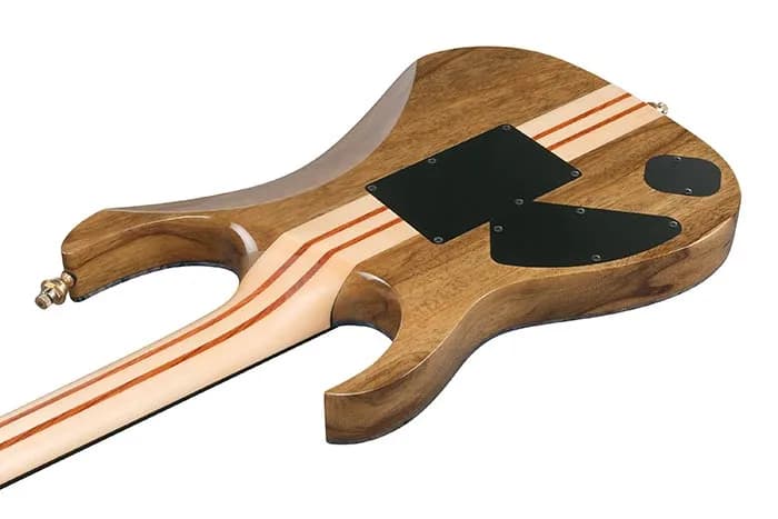 Ibanez IV2RG — photo 3